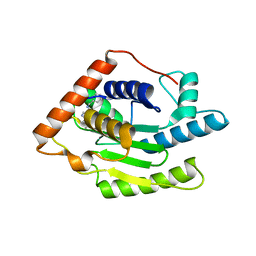 BU of 6fdq by Molmil