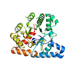 AU of 6fee by Molmil