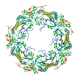 AU of 6feu by Molmil