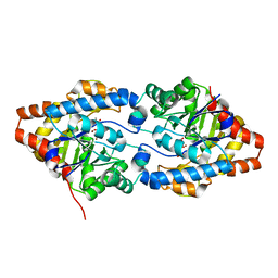 AU of 6fev by Molmil