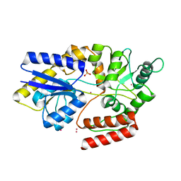 BU of 6ffl by Molmil