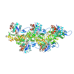 BU of 6fhl by Molmil