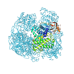 BU of 6fhv by Molmil