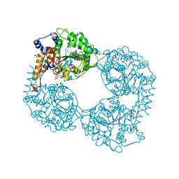 BU of 6fis by Molmil