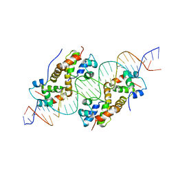 BU of 6fix by Molmil