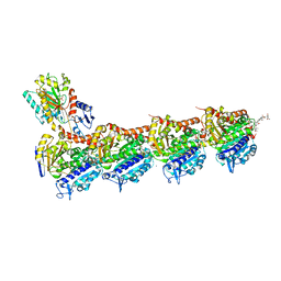 BU of 6fjm by Molmil