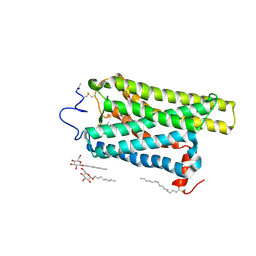 BU of 6fkb by Molmil