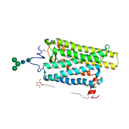 BU of 6fkc by Molmil