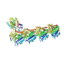 BU of 6fkl by Molmil