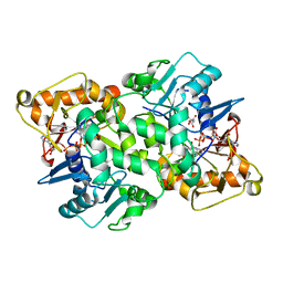 BU of 6fko by Molmil