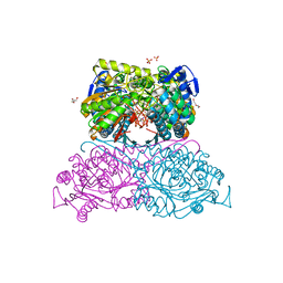 BU of 6fkv by Molmil