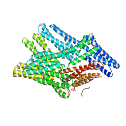 AU of 6fmm by Molmil