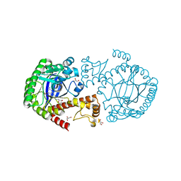 BU of 6fmn by Molmil