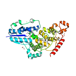 BU of 6fn2 by Molmil