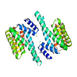 BU of 6fna by Molmil