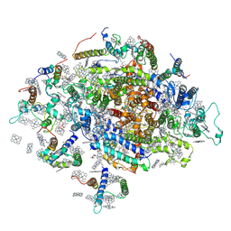 BU of 6fos by Molmil