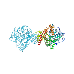 AU of 6fot by Molmil