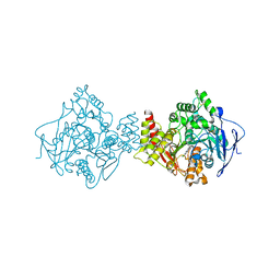 AU of 6fou by Molmil