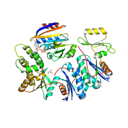 AU of 6fpe by Molmil