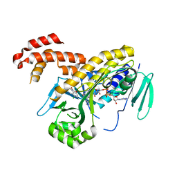 BU of 6fph by Molmil