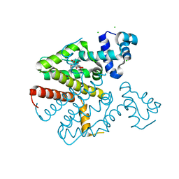 BU of 6fpm by Molmil