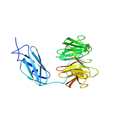 BU of 6fpt by Molmil