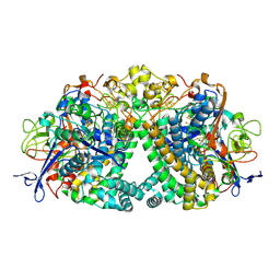 BU of 6fpw by Molmil