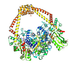 BU of 6fqs by Molmil