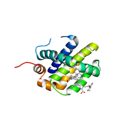 BU of 6fs2 by Molmil