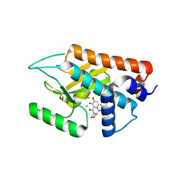 BU of 6fs8 by Molmil