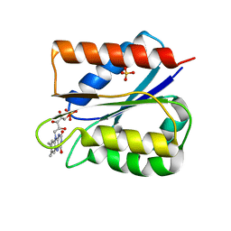 BU of 6fsg by Molmil