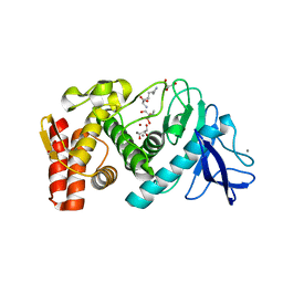 BU of 6fsm by Molmil
