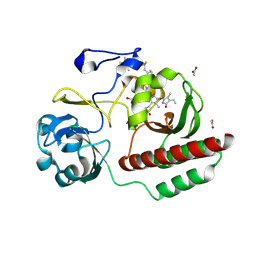 BU of 6ftd by Molmil