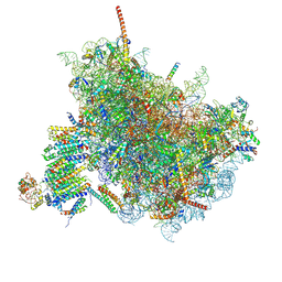 BU of 6fti by Molmil