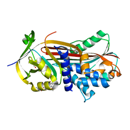 BU of 6ftp by Molmil