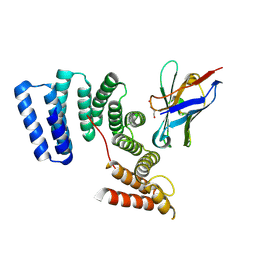 BU of 6fv0 by Molmil