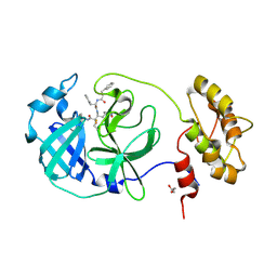 BU of 6fv2 by Molmil