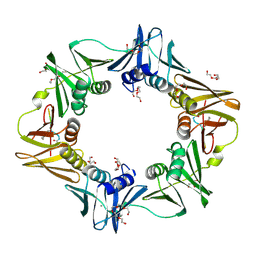 BU of 6fvm by Molmil