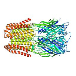 BU of 6fvs by Molmil