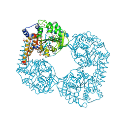 BU of 6fxh by Molmil