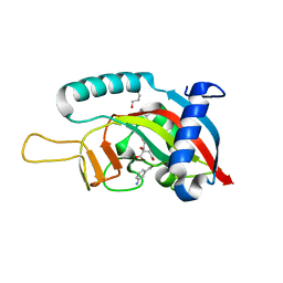 BU of 6fxi by Molmil