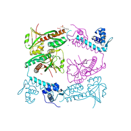 BU of 6g1b by Molmil