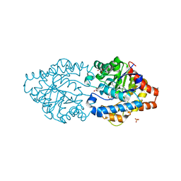 AU of 6g23 by Molmil
