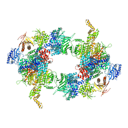 BU of 6g2h by Molmil