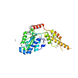 BU of 6g2x by Molmil