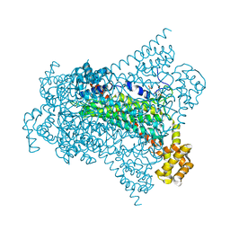 BU of 6g3i by Molmil