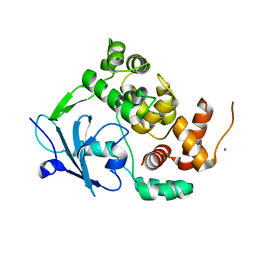 BU of 6g3x by Molmil