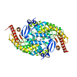 BU of 6g4b by Molmil