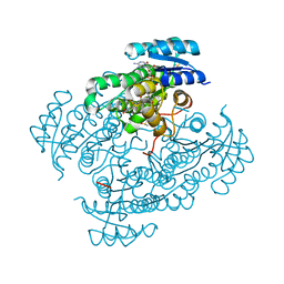 BU of 6g4l by Molmil