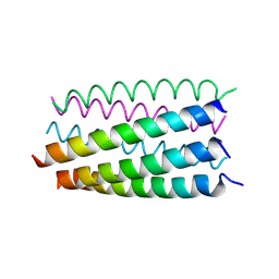 BU of 6g6b by Molmil